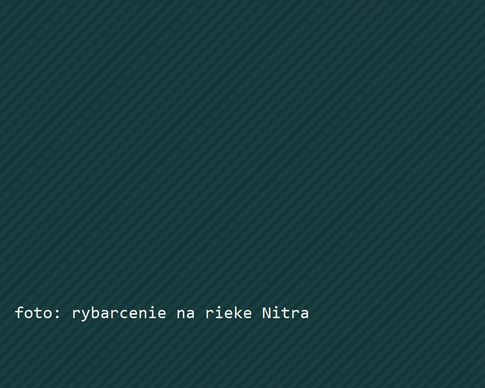 Ranné rybárčenie na rieke Nitra, hmla nad vodou